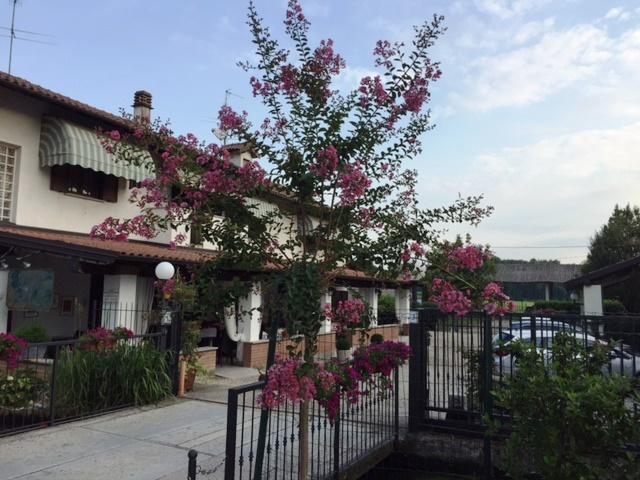 Hotel Locanda Da Carla Vigevano Exteriér fotografie